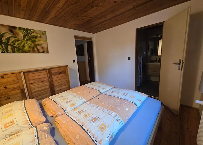 Lebedín Apartmán Nova Ves (Liberec)